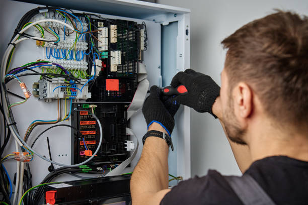 Licensed Electrical Panel Upgrade service in Larch Way, WA - No Joke electrician